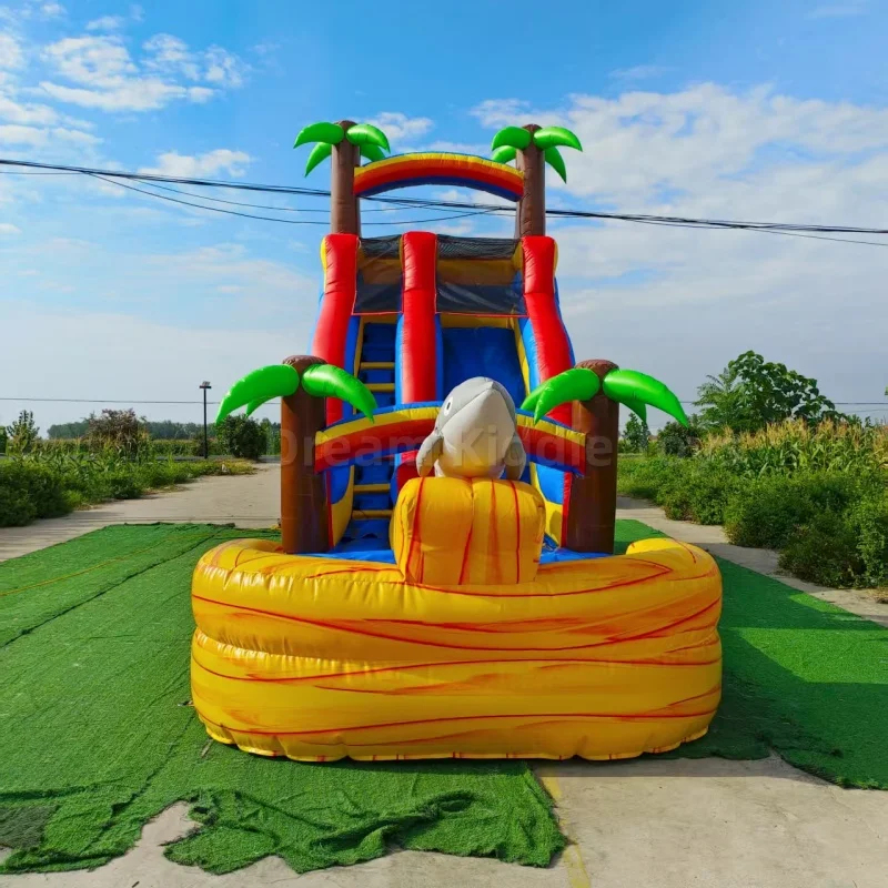 Toboggan aquatique gonflable c - Kids Outdoor Pool avis et prix